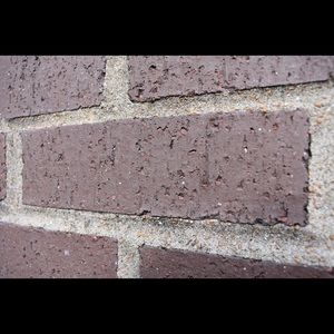 Meet your Posher, Tan